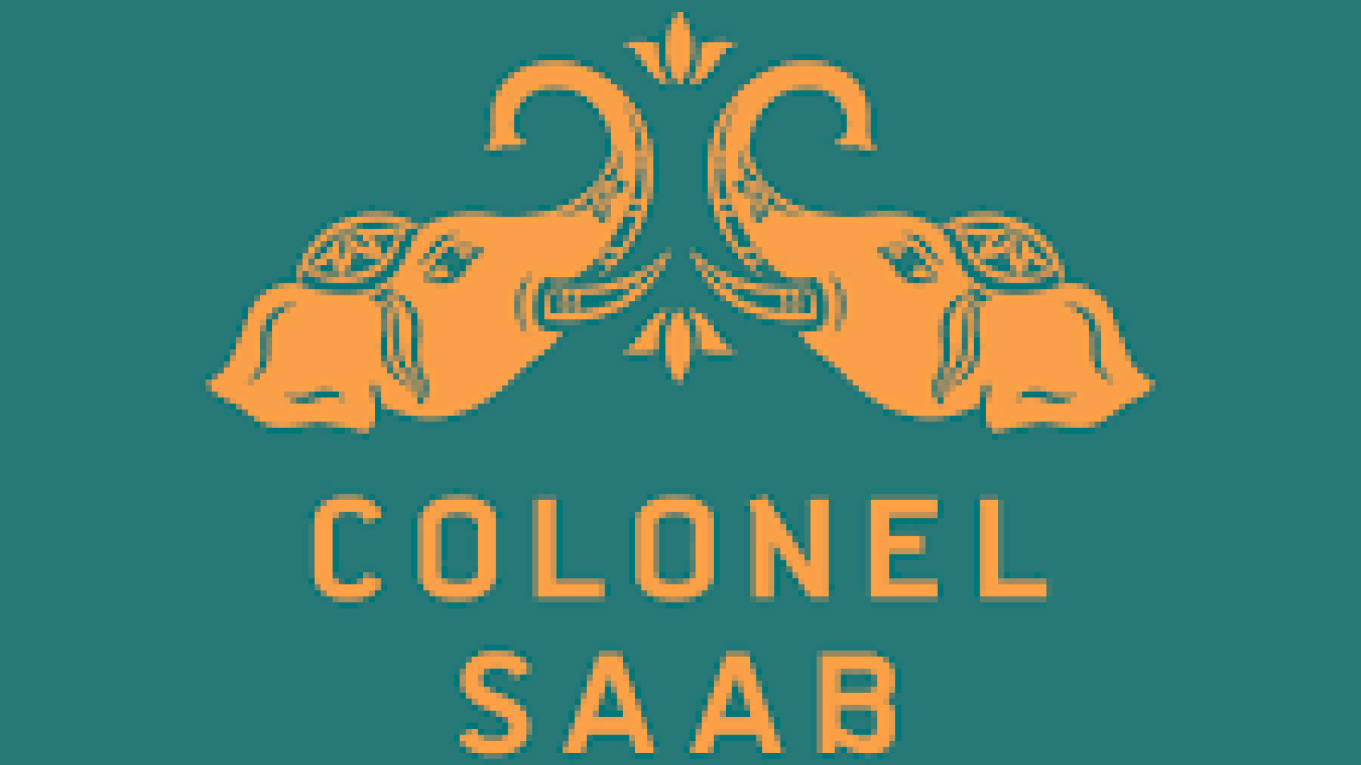 Colonel Saab-LDN-3