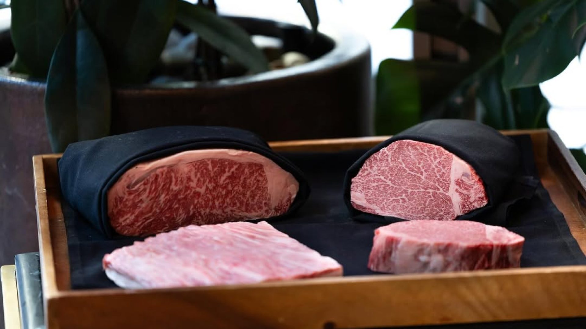 Fazenda-LDN-5