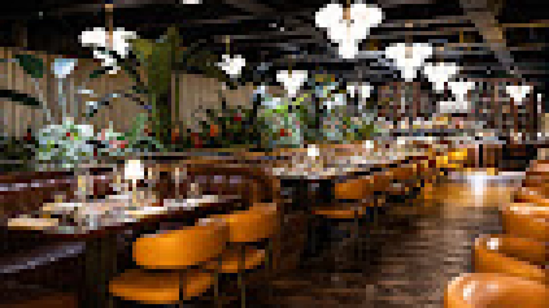 Fazenda-LDN-9
